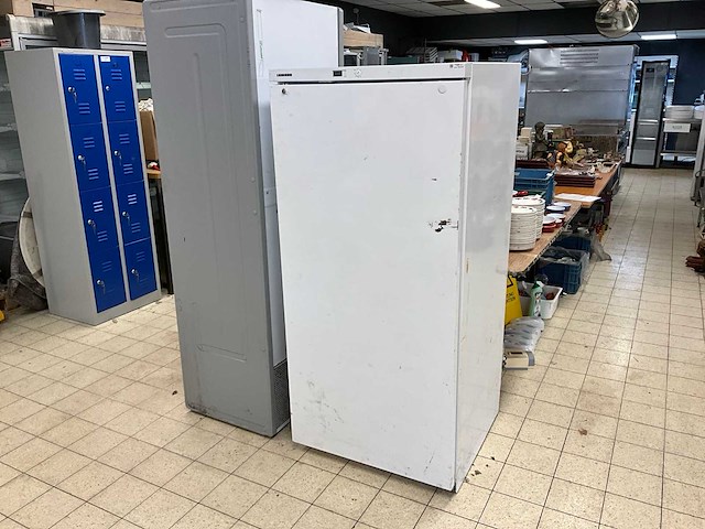 Liebherr bkv 5040 koelkast - afbeelding 1 van  6