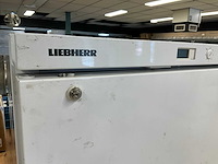 Liebherr bkv 5040 koelkast - afbeelding 5 van  6