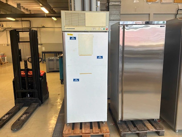 Liebherr gks 6520 koelkast - afbeelding 2 van  9