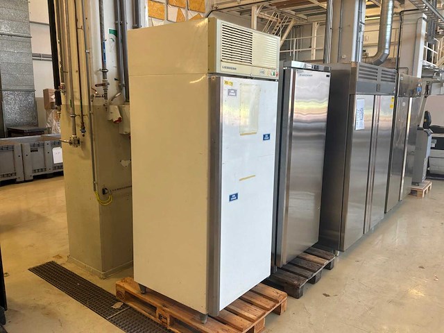 Liebherr gks 6520 koelkast - afbeelding 3 van  9