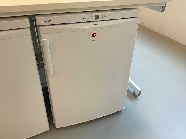 Liebherr laboratorium vriezer - afbeelding 1 van  1