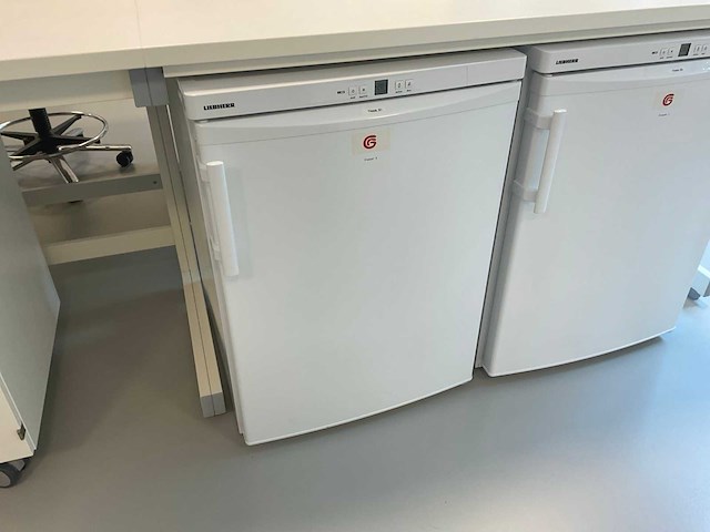Liebherr laboratorium vriezer - afbeelding 1 van  1