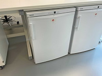 Liebherr laboratorium vriezer - afbeelding 1 van  1