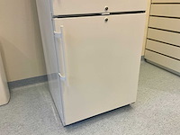 Liebherr lcv 4010 mediline laboratorium koelkast/vriezer combinatie - afbeelding 6 van  8