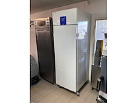 Liebherr medline 261743 vriezer