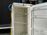 Liebherr premiumplus biofresh liebherr koelkast - afbeelding 4 van  4