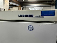 Liebherr tgs 4000 vrieskast - afbeelding 6 van  7