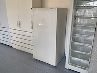 Liebherr uks 5000 laboratoriumkoelkast - afbeelding 1 van  5