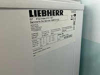 Liebherr vrieskist - afbeelding 6 van  6