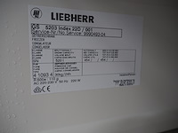 Liebherr - afbeelding 7 van  7