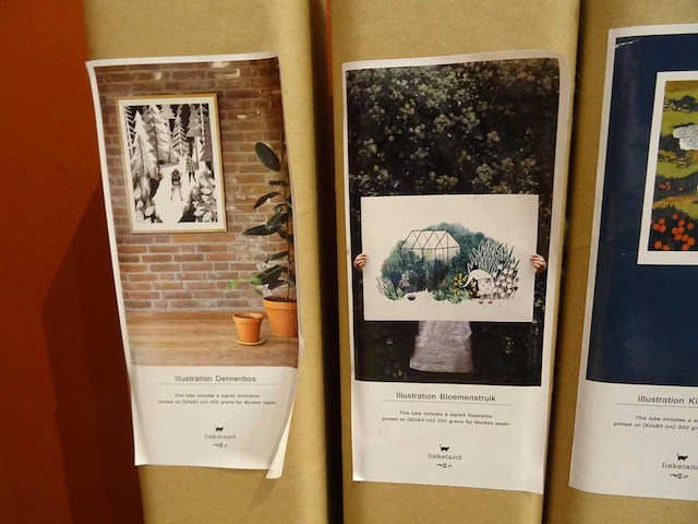 Liekeland - wandposter (4x) - afbeelding 3 van  3