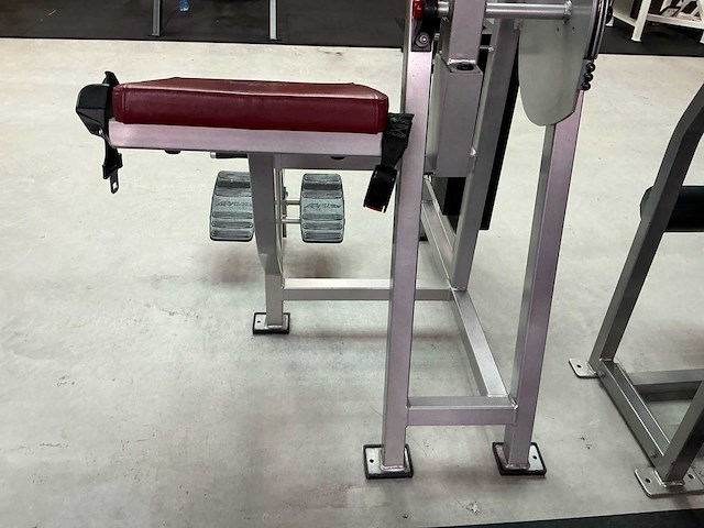 Life fitness back extension krachtstation - afbeelding 2 van  10