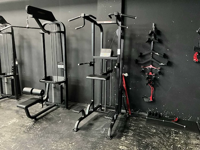 Lifefitness assisted dip/chin - afbeelding 1 van  8