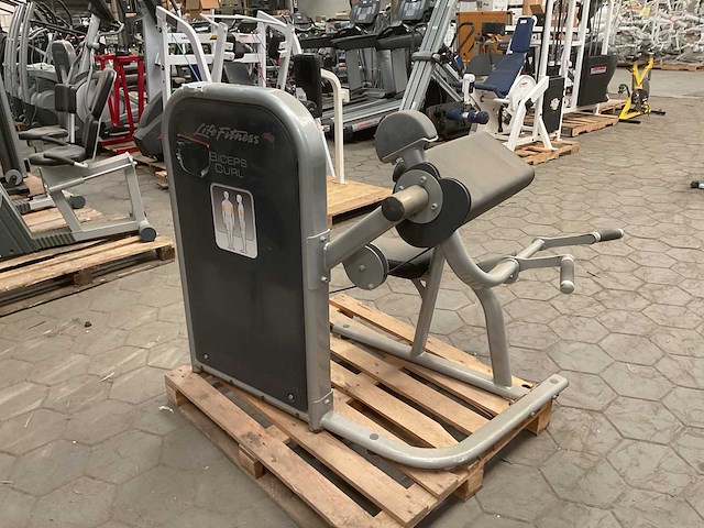 Lifefitness biceps curl krachtstation - afbeelding 4 van  6