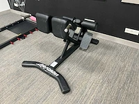 Lifefitness roman chair