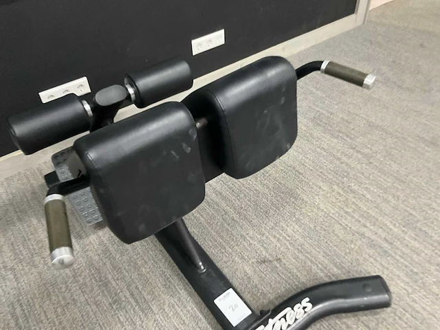 Lifefitness roman chair - afbeelding 4 van  7