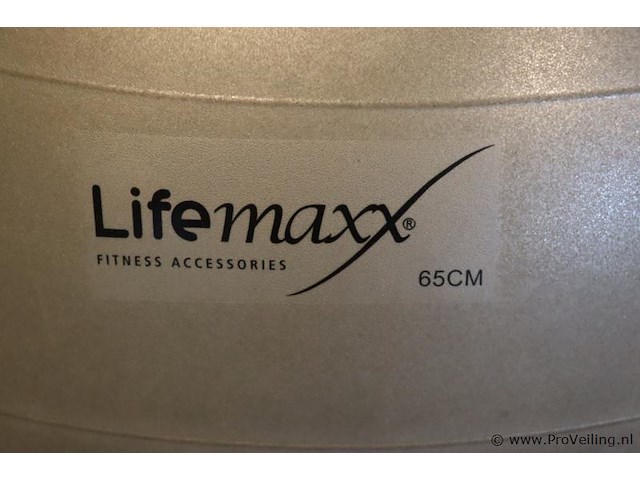Lifemaxx fitnessbal 65cm incl. ophangbeugel - afbeelding 2 van  4