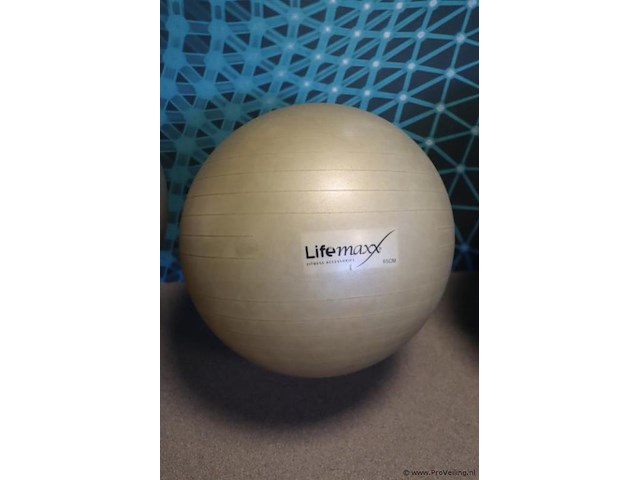 Lifemaxx fitnessbal 65cm incl. ophangbeugel - afbeelding 1 van  4
