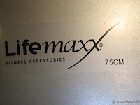 Lifemaxx fitnessbal 75cm incl. ophangbeugel - afbeelding 2 van  4