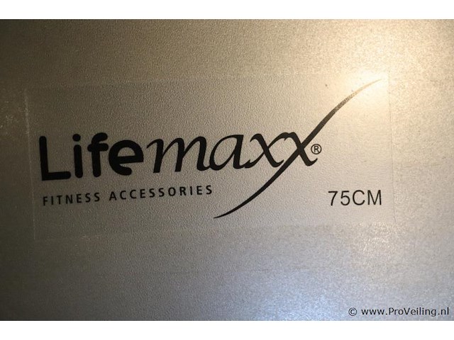 Lifemaxx fitnessball 75cm incl. ophangbeugel - afbeelding 2 van  4
