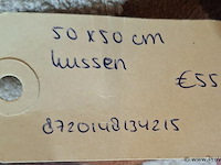 Lifestyle sierkussen - afbeelding 2 van  2