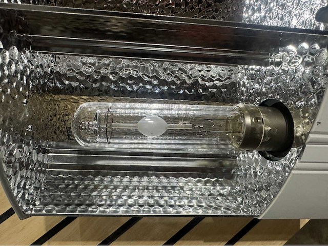 Lights interaction d-papillon kweeklampen (20x) - afbeelding 11 van  12