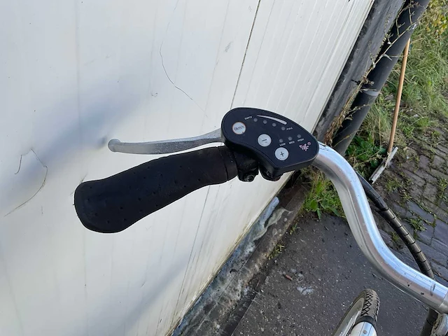 Limpurg elektrische fiets - afbeelding 13 van  14