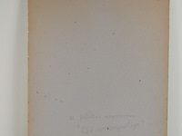 Linosnede - afbeelding 6 van  6