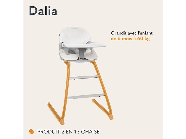 Lionelo dalia 2in1 kinderstoel van 6 maanden tot 60 kg grijs - afbeelding 4 van  5