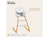 Lionelo dalia 2in1 kinderstoel van 6 maanden tot 60 kg grijs - afbeelding 4 van  5