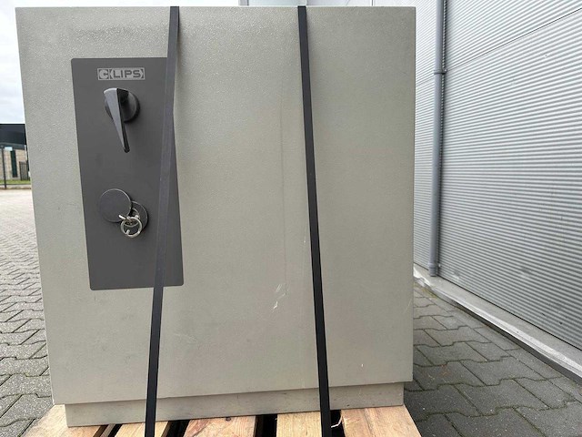 Lips - brandwerende kast 710x750x830mm - afbeelding 2 van  3