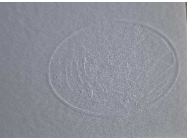 Litho botero - afbeelding 3 van  4