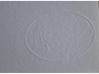 Litho botero - afbeelding 3 van  4