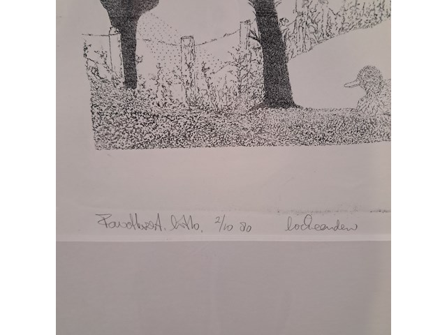 Litho, f. a. van der horst, lokeenden e.d. 2/10 - afbeelding 4 van  8