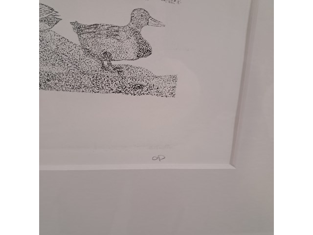 Litho, f. a. van der horst, lokeenden e.d. 2/10 - afbeelding 5 van  8