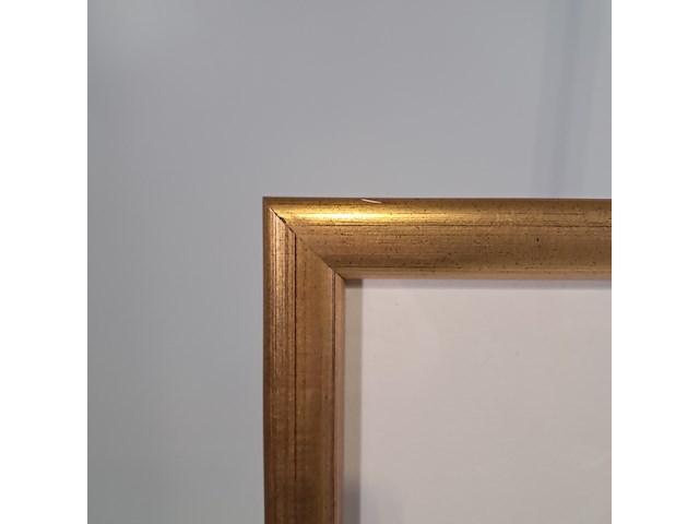 Litho, f. a. van der horst, lokeenden e.d. 2/10 - afbeelding 6 van  8