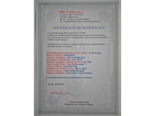 Litho frida kahlo - afbeelding 4 van  4