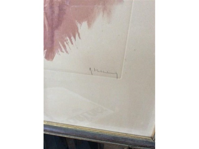 Litho gekleurd get. br 52 h:66. - afbeelding 2 van  4