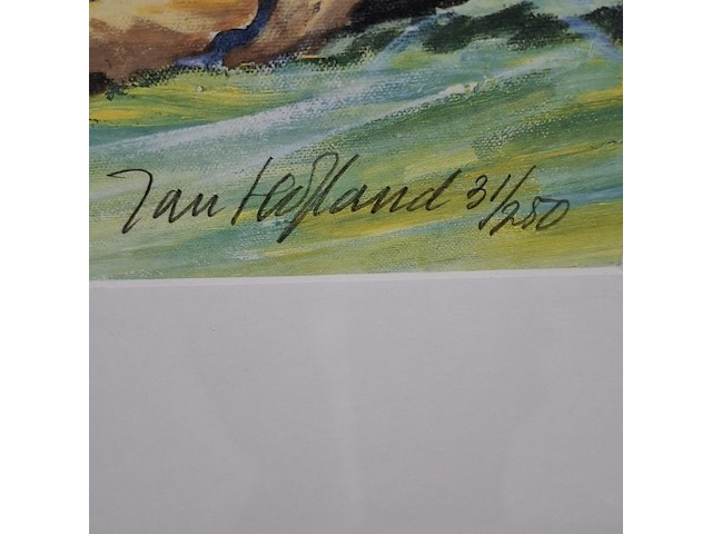 Litho, jan hofland, voetbal afc quick 31 - afbeelding 9 van  14