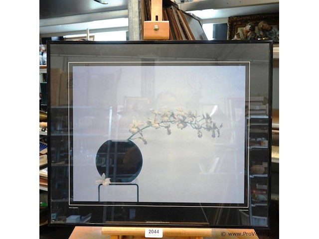 Litho kris coppieters "white is beautiful" - afbeelding 1 van  5