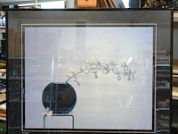 Litho kris coppieters "white is beautiful"