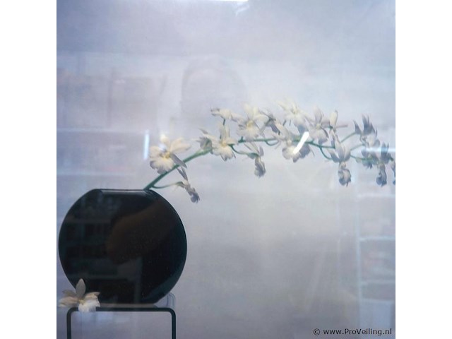 Litho kris coppieters "white is beautiful" - afbeelding 2 van  5