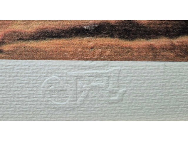 Litho salvador dali ‘cuadro de dali’ - afbeelding 4 van  4