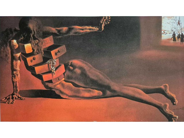 Litho salvador dali - afbeelding 1 van  3