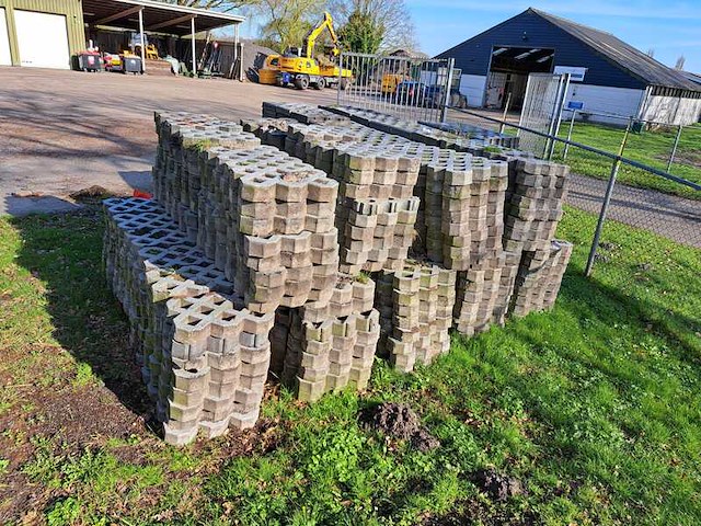 (locatie jubbega) ca. 677x grasbetontegel - afbeelding 1 van  3