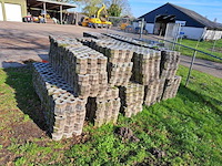 (locatie jubbega) ca. 677x grasbetontegel - afbeelding 1 van  3