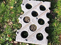 (locatie jubbega) ca. 677x grasbetontegel - afbeelding 2 van  3