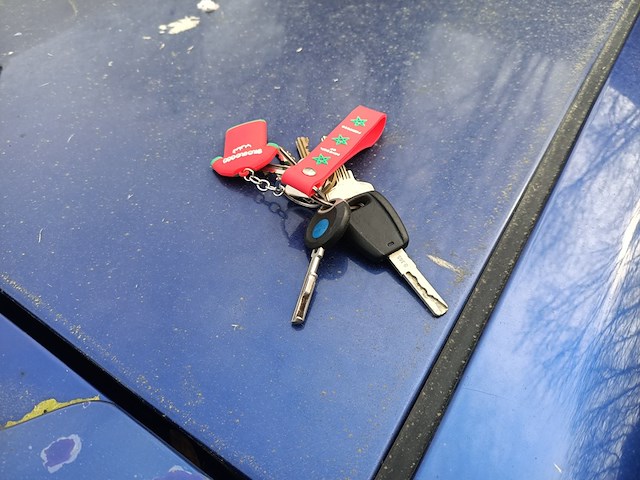 (locatie midwolde) personenauto, fiat, grande punto, 1.2 gp, 2008 - afbeelding 11 van  19