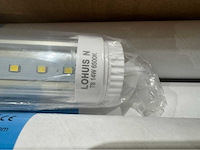 Lohuis led buis (20x) - afbeelding 6 van  9