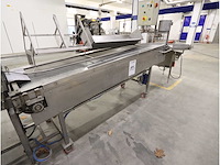 Loma 6000 checkweigher - afbeelding 5 van  14